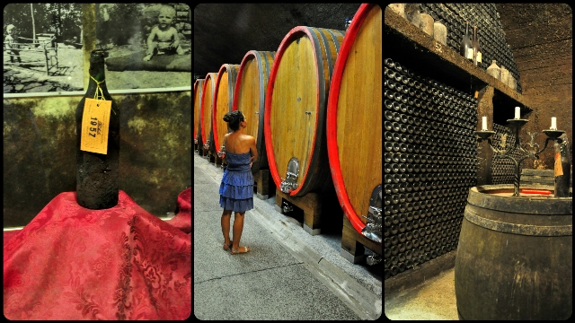 Klet Gorška Brda - the biggest wine cellar in Slovenia