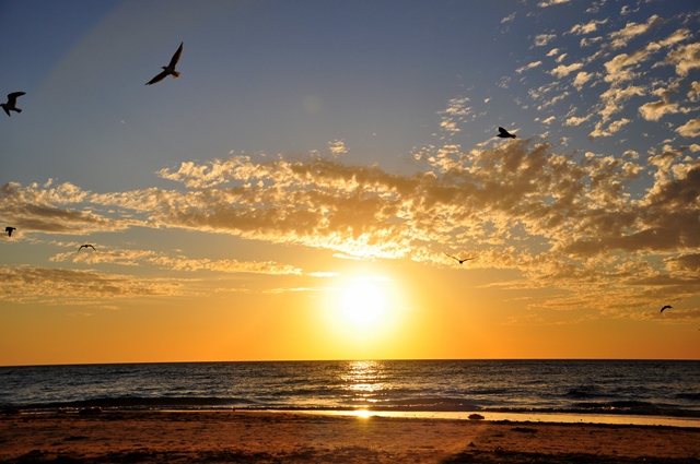 adelaide, wine &amp; co (17)