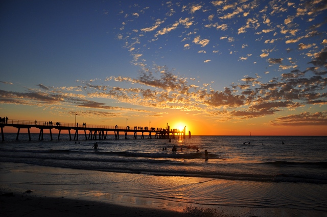 adelaide, wine &amp; co (18)