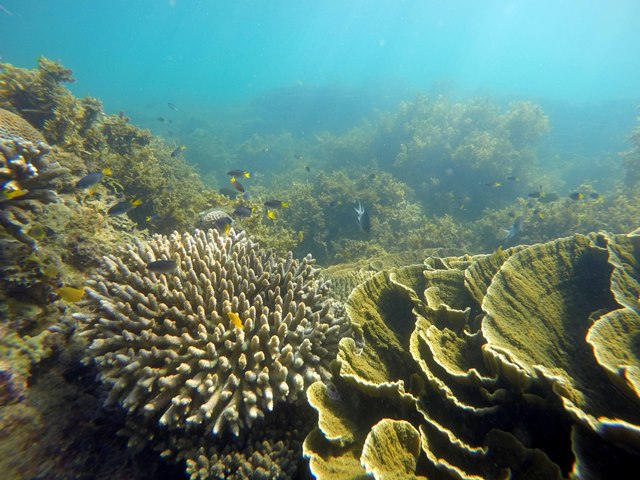 DCIM102GOPROG6712962.