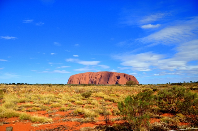 red centre (1)