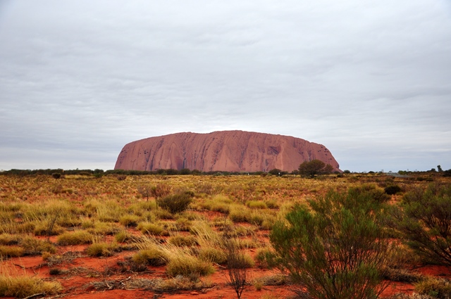 red centre (31)