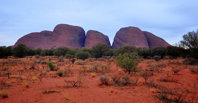 red centre (38)