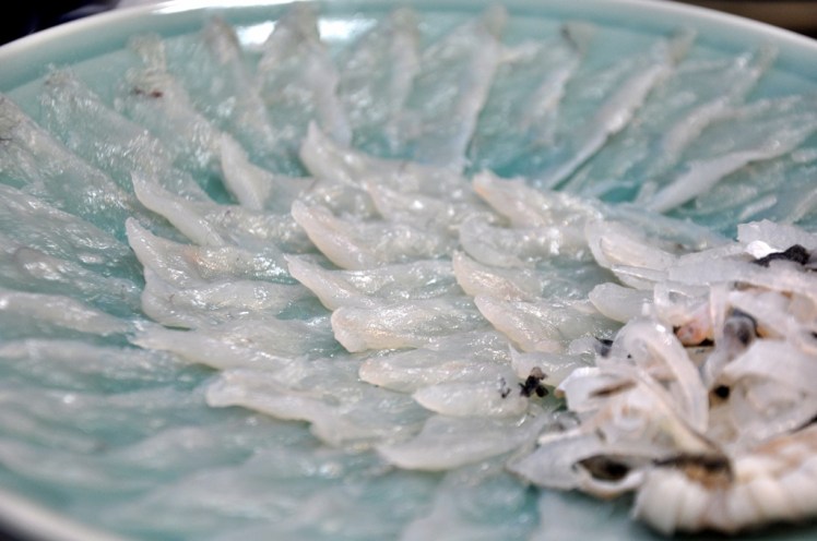 fugu (3)