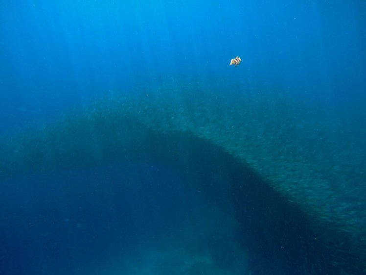 DCIM100GOPROG1307630.