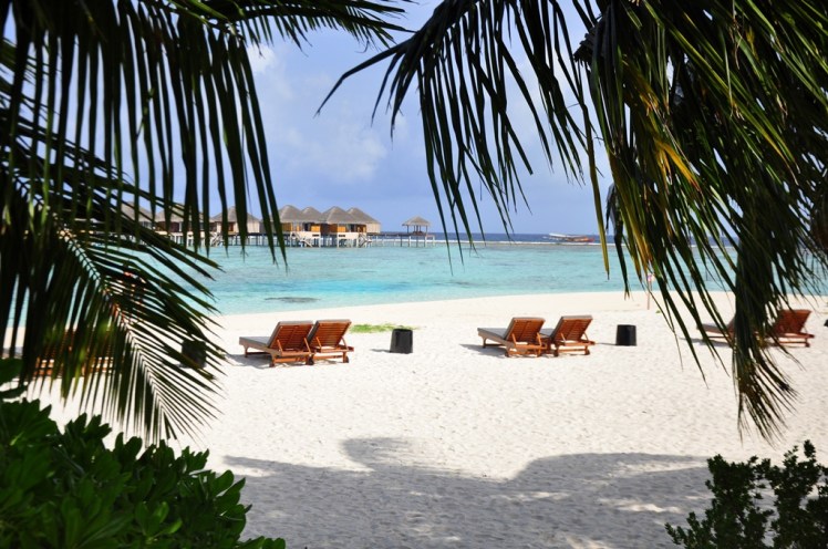 maldives (7)