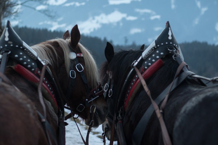 Photo credit Kimberly ...