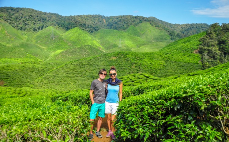 malaysia Cameron Highland