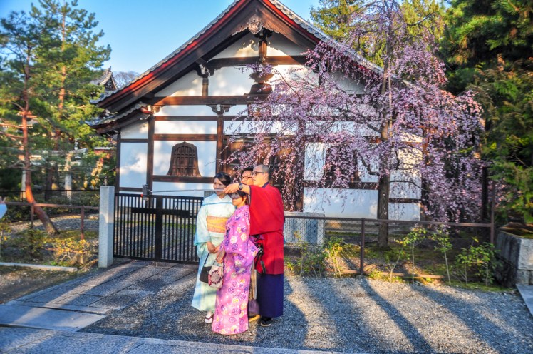 sakura kyoto