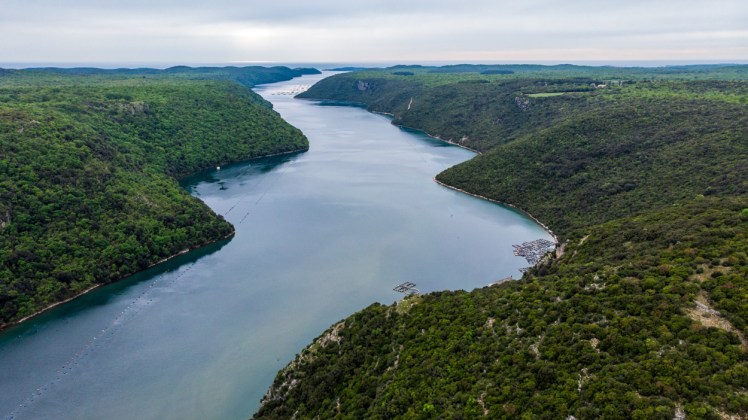 istria_blog Lim fjord