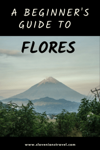 A beginner's guide to Flores
