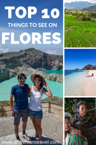 top 10 flores pinterest