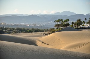 Dunas de Maspalomas