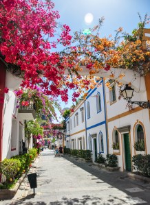Puerto de Mogan flowers