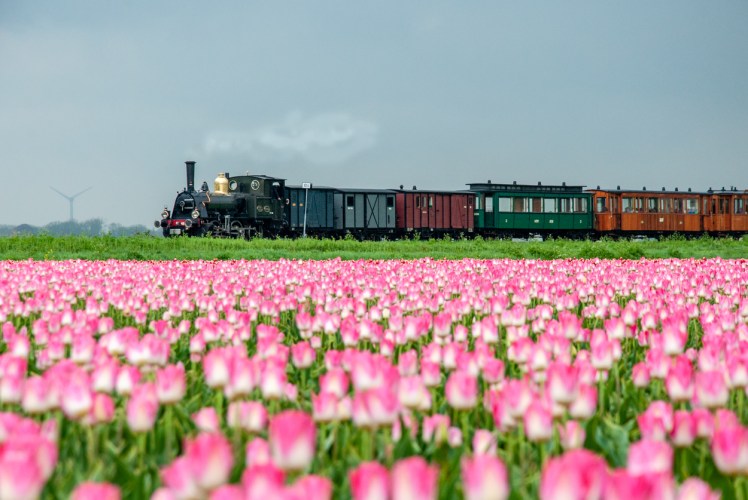 holland_blog (2 of 2)